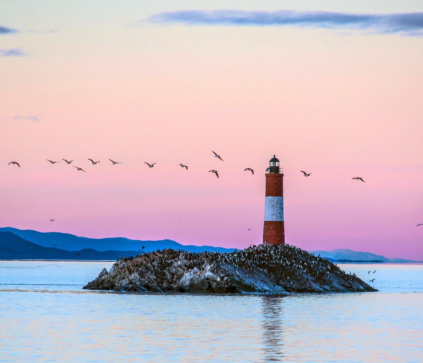 Scenic birds flying over the famous lighthouse at sunset in Ushuaia, Argentina.